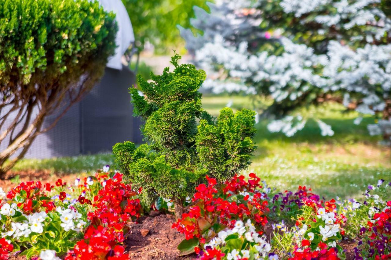 Garden Paradise App Sveti Vid-Miholjice Luaran gambar