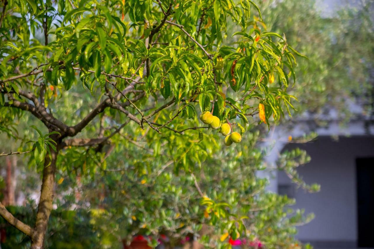 Garden Paradise App Sveti Vid-Miholjice Luaran gambar